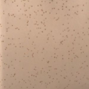 Meet your Posher, Timothy